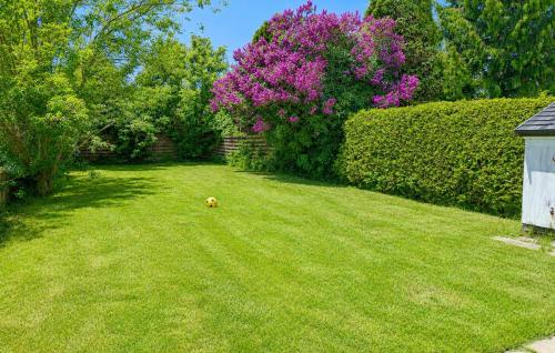 a dog laying in the grass in a yard at 3 Bedroom Gorgeous Home In Faaborg in Faaborg