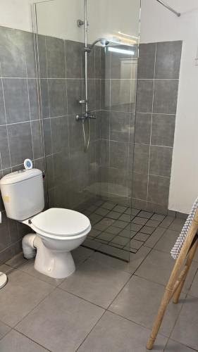 a bathroom with a toilet and a glass shower at Kaz Taïnos in Baie-Mahault