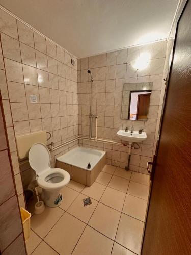 a bathroom with a toilet and a tub and a sink at Vila Coralia in Schitul