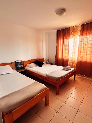a bedroom with two beds and a window at Vila Coralia in Schitul
