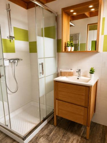 a bathroom with a sink and a shower at Gîte 2 pers avec jardin entre Bordeaux & Lacanau Océan in Brach