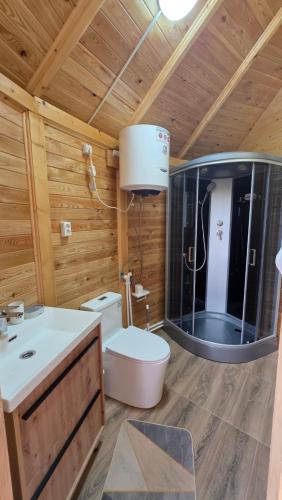 a bathroom with a toilet and a shower in a room at Близняшки in Kaji-Say