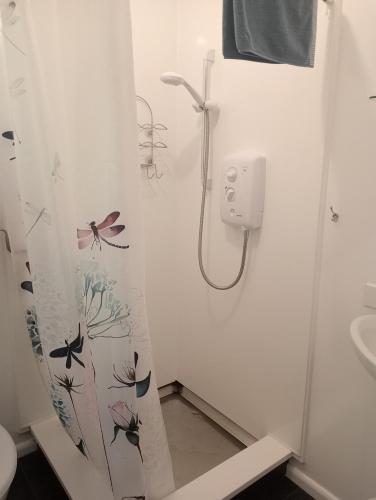 a bathroom with a shower curtain with butterflies on it at Rata Lodge Accommodation in Otira