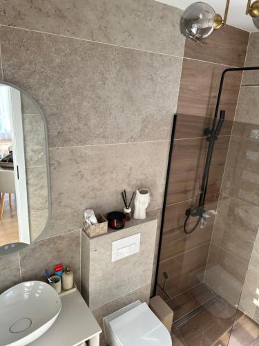 a bathroom with a shower and a toilet and a sink at Paradise Relax Apartament in Zalău
