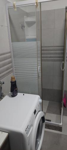 a washing machine in a bathroom with a shower at Apartment Grapevine in Kornić
