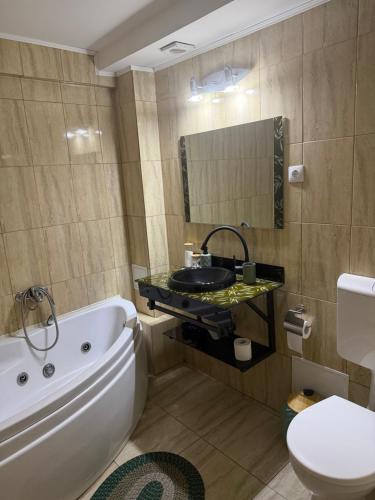a bathroom with a tub and a sink and a toilet at Casa Aurelia in Sibiu