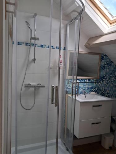 a bathroom with a shower and a sink at appartement dans maison, calme assuré in Corancy