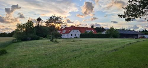 a large field with a house in the background at Ribe Dankirke Bed & Kitchen in Ribe