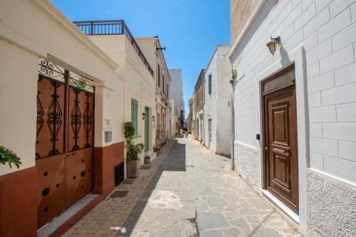 Amarantios Urban Nest