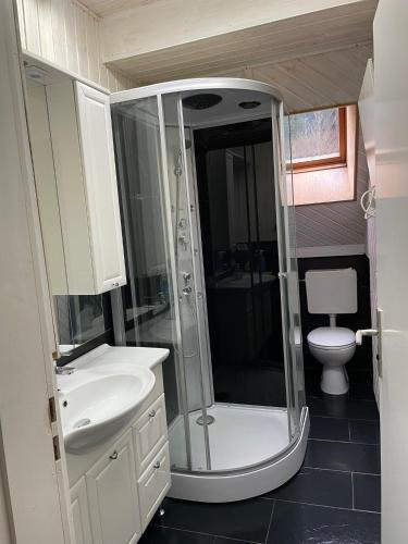 a bathroom with a shower and a sink and a toilet at Waldblick in Neresheim
