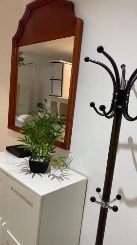Estudio La Carihuela