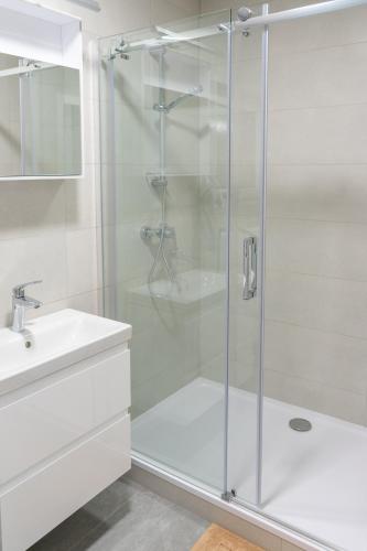 a shower with a glass door in a bathroom at Apartmán nad pilou in Velké Meziříčí