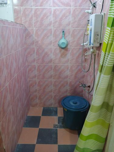 a bathroom with a shower with a blue toilet at The Cronin Residence in Oslob