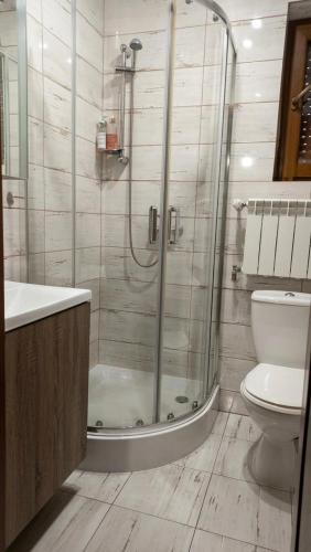a bathroom with a shower and a toilet at Zacisze nad Orlicą in Międzylesie