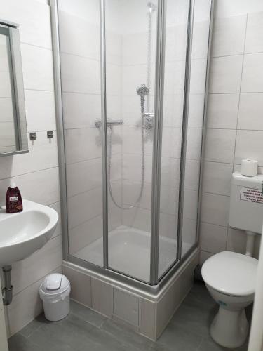 a bathroom with a shower and a toilet and a sink at Sauberghaus Wohnung 3 in Breitenbrunn