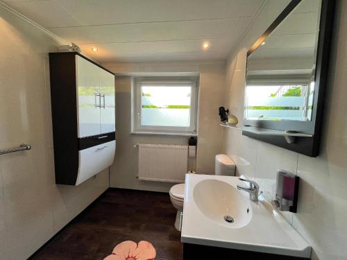 a bathroom with a sink and a toilet and a mirror at Damshagen Küstenkomfort in Damshagen