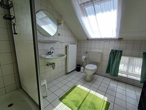 a bathroom with a toilet and a sink and a mirror at Ferienhof van Vlyten_ 45006 in Jemgum