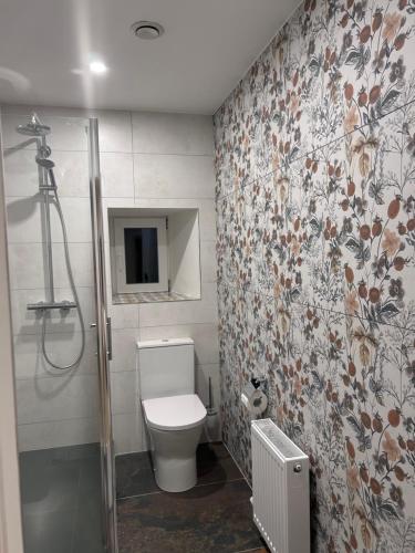 a bathroom with a shower and a toilet and a shower at The Hedgerow Kilshanny in Kilshanny