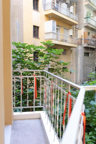 Ivelina's apartment
