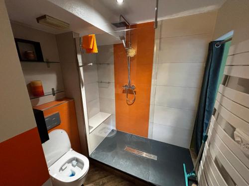 a small bathroom with a shower and a toilet at A Chatenois le Repère d'Anna in Châtenois