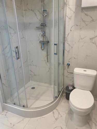 a bathroom with a shower and a toilet at Biebrzańska Przystań 7 in Goniadz
