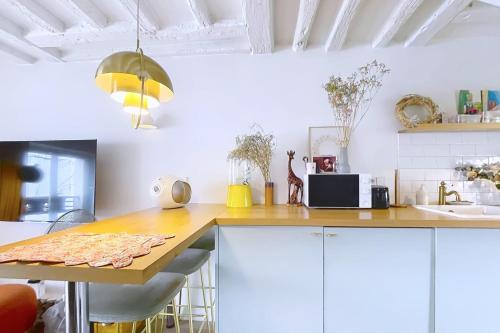 Charming Duplex Place des Vosges