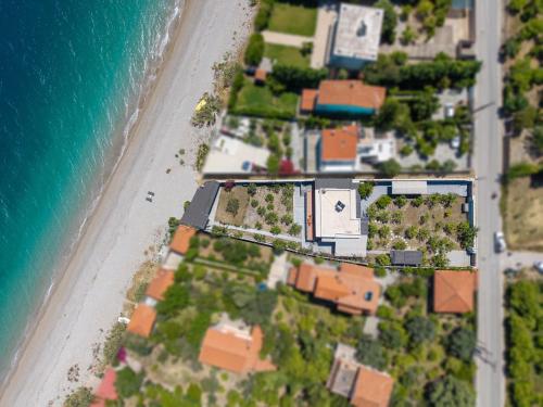 an aerial view of a house next to the beach at Villa Dorianna in Egira