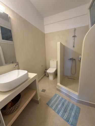 a bathroom with a sink and a shower and a toilet at Patmian charm 2 bedrooms in Skala