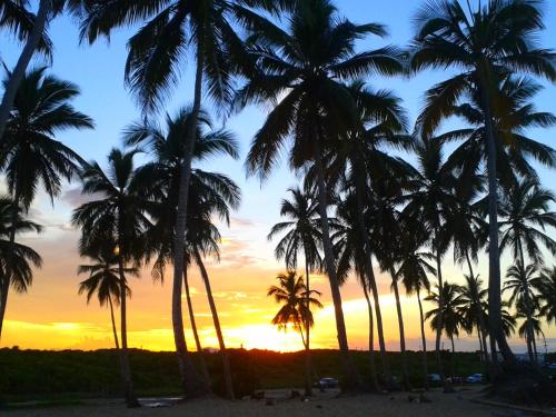 a group of palm trees on a beach at sunset at Riviera Punta Cana Eco Travelers in Punta Cana