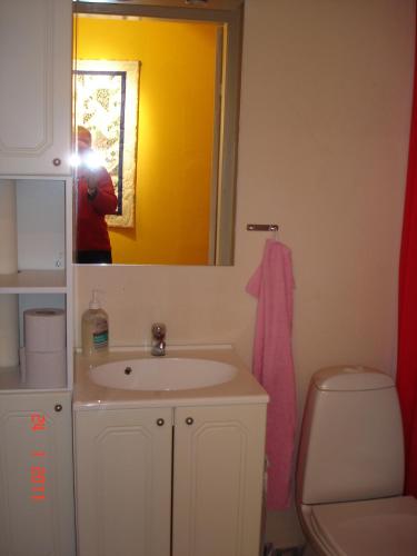 a person taking a picture of a bathroom with a sink at Nygammelsø Bed & Breakfast in Stege