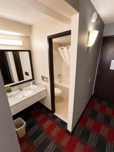 a bathroom with a sink and a toilet and a shower at Central Albany Room with Breakfast & view in Albany