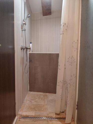 a shower with a shower curtain in a bathroom at Sous le soleil in Bandol