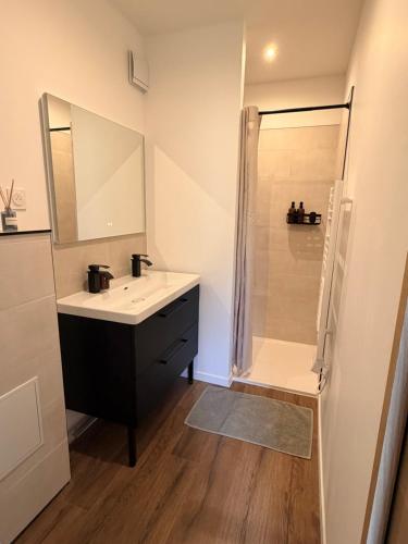a bathroom with a sink and a shower at Sillage in Machiel