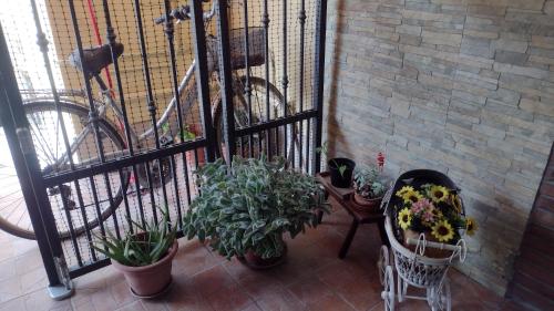 a balcony with plants and a fence with a bike at LA PETITE MAISON in Fucecchio