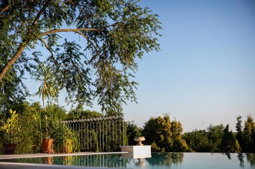 a garden with a fountain and a fence and trees at Scharioth Birtok in Nagyréde