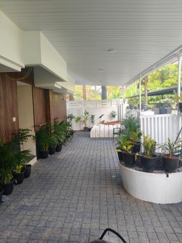a courtyard with potted plants in a building at 88 villaggio Edappally in Edappally