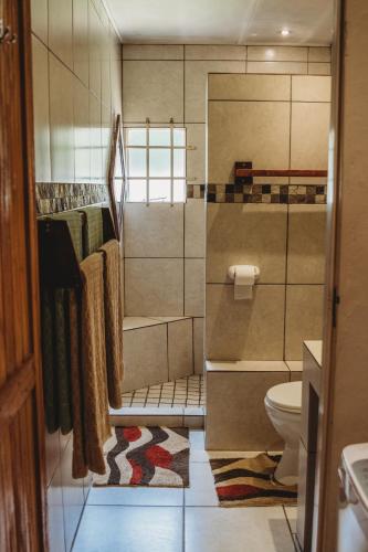a bathroom with a shower and a toilet at Charming Self Catering Apartment in Phalaborwa