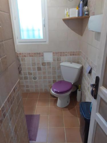 a bathroom with a toilet with a purple lid at Le pavillon in Aubignan