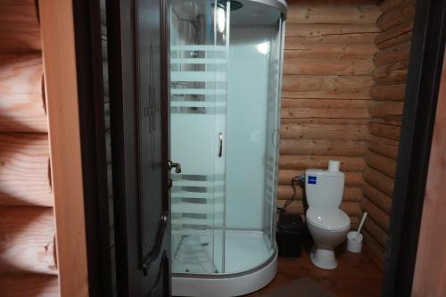 a glass shower in a bathroom with a toilet at Сонячна in Solotvyno