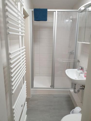 a bathroom with a shower and a toilet and a sink at Sauberghaus Wohnung 1 in Breitenbrunn