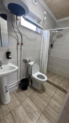 a bathroom with a toilet and a shower and a sink at Абая 29 гостевые домики in Kosh-Tegirmen