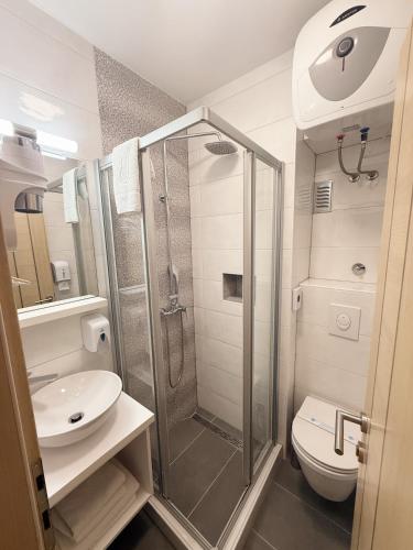 a bathroom with a shower and a toilet and a sink at Sobe Šušanj in Karlobag