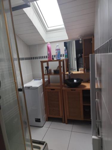 a bathroom with a sink and a washing machine at La Petite Maison dans la Prairie in Cholet