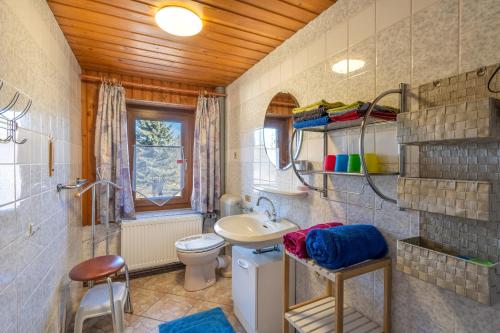 a bathroom with a sink and a toilet in a room at Zum Hecht in Herrnhut