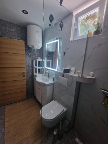 a bathroom with a toilet and a sink and a mirror at Vacation Home Belluna in Račić
