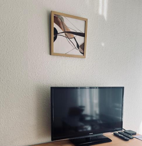 Wonderful Studio, Geneva