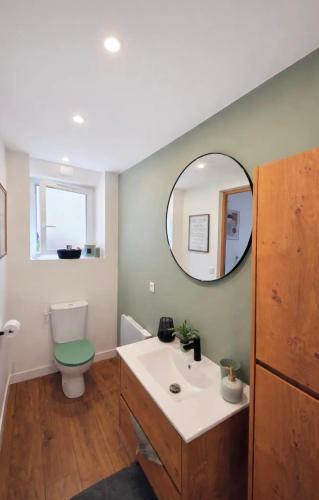a bathroom with a toilet and a sink and a mirror at Au Petit Crecy in Crécy-la-Chapelle