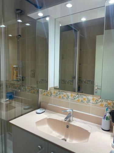 a bathroom with a sink and a large mirror at loft appartement in Cap d'Agde