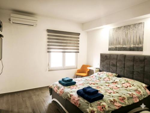 Apartment with pool, accessible for people with disabilities, near Zadar