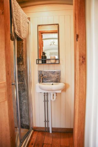 a bathroom with a sink and a mirror at Rose in Rhayader
